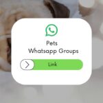 Pets WhatsApp Group Links