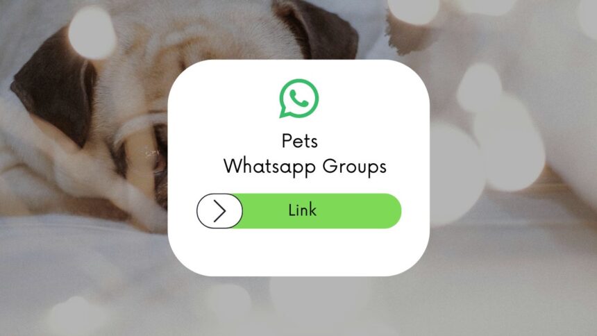 Pets WhatsApp Group Links